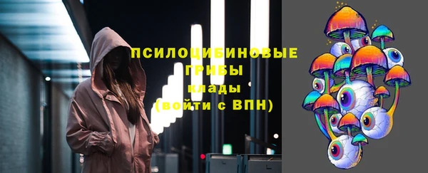 трава Абаза