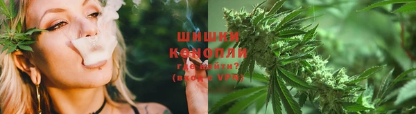 трава Абаза