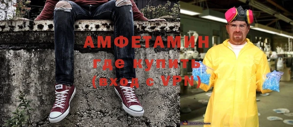 мет Алексин