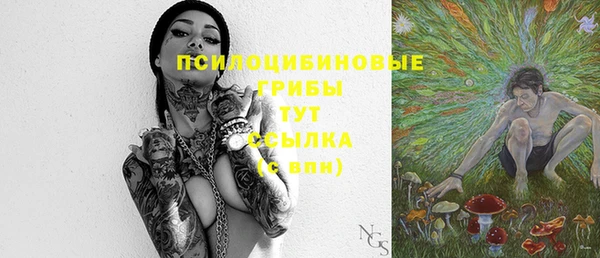 хмурый Арсеньев