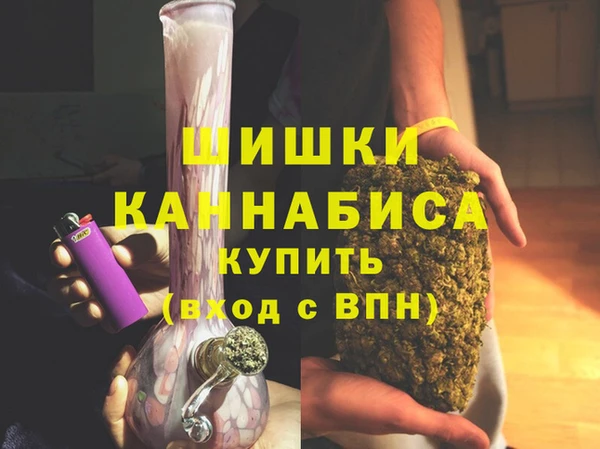 PSILOCYBIN Алзамай