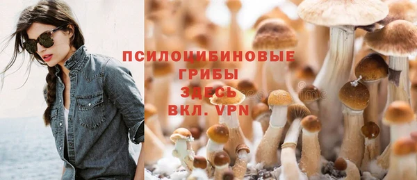 хмурый Арсеньев