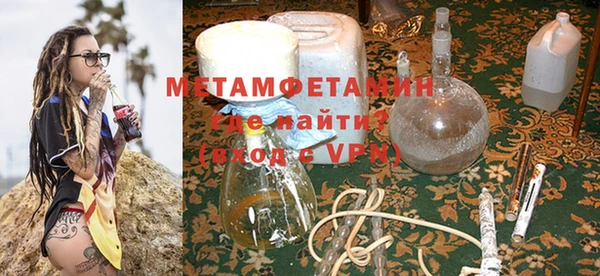 мет Алексин