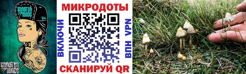 Галлюциногенные грибы Magic Shrooms  Одинцово 