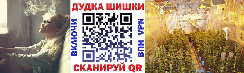 Бошки Шишки семена  Одинцово 